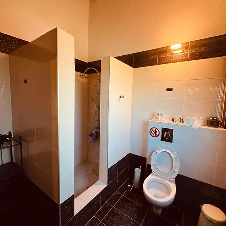 Skyvista Villa Apartment *
